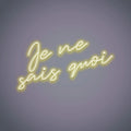 Je Ne Sais Quoi Neon Sign lit up, casting a refined glow with its classic French-inspired design.