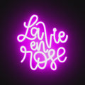 Watch the La Vie en Rose Neon Sign light up, bringing love and elegance to your home or event.